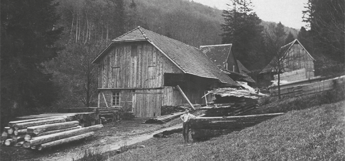 Historisch_ThSpaeth_Waldsaege